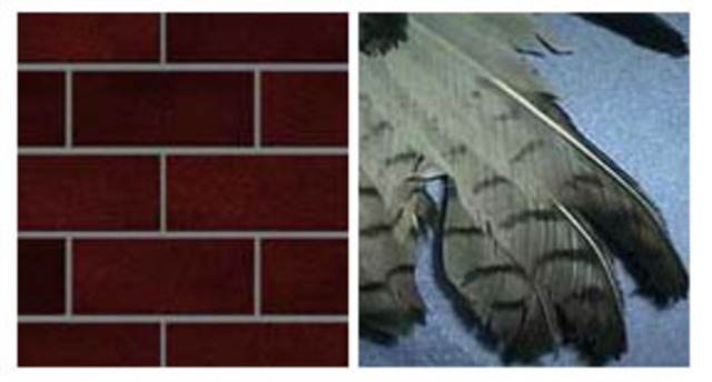 Galileo gets out on trial