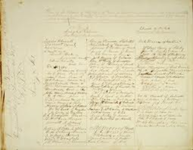 Texas Constitutional draft