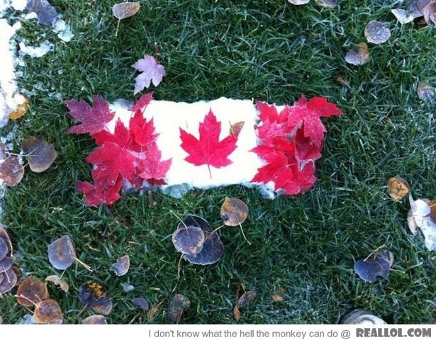 Canadian flag