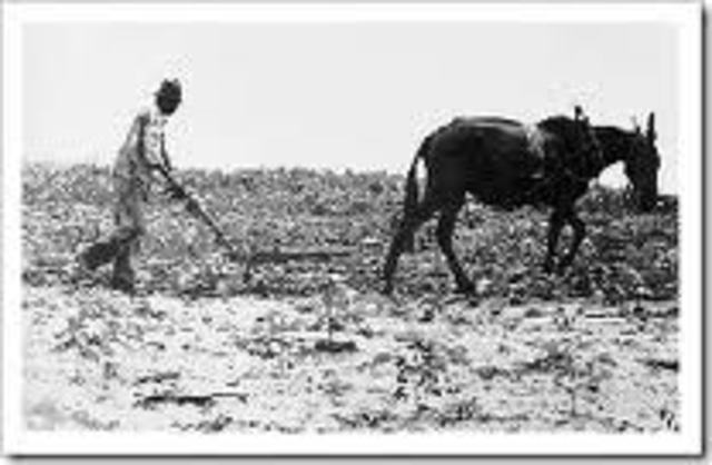 Black Codes (Mississippi)