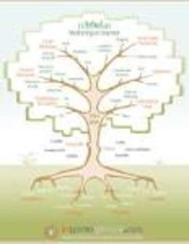 La NSF comenzó el desarrollo de NSFNET que se convirtió en la principal Red en árbol de Internet,