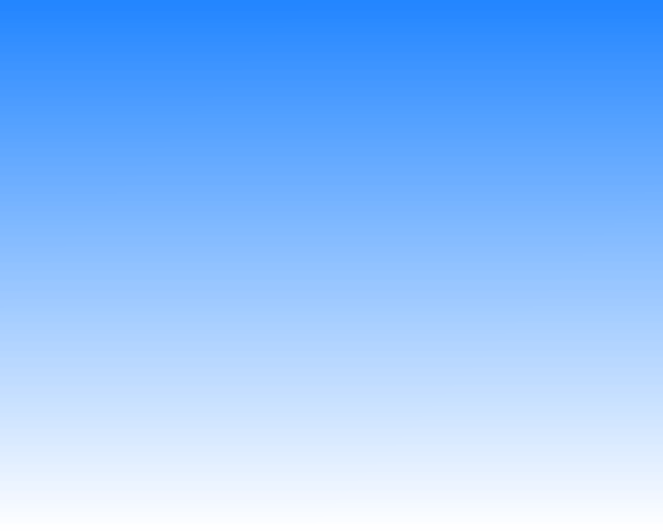 Evolucion del internet 2008