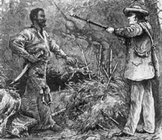 Nat Turner's Slave Rebellion