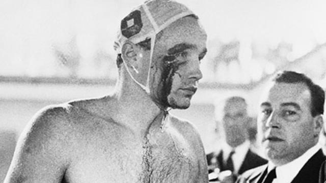 Du sang dans la piscine !