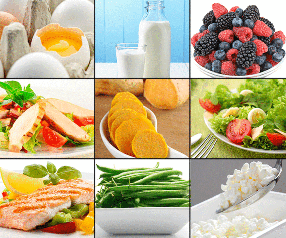 Final Format of Exercise/Diet Plan Due