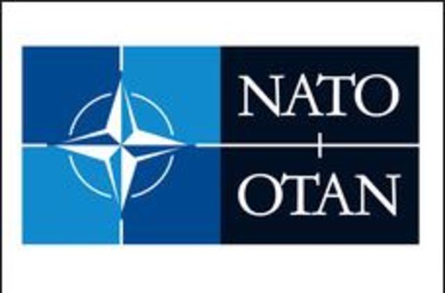 The North Atlantic Treaty Organization (NATO) was established by the allies.