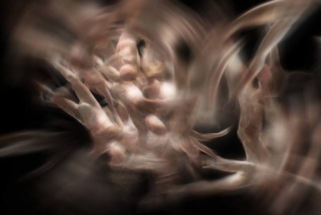 Hive @ The Wood Street Galleries