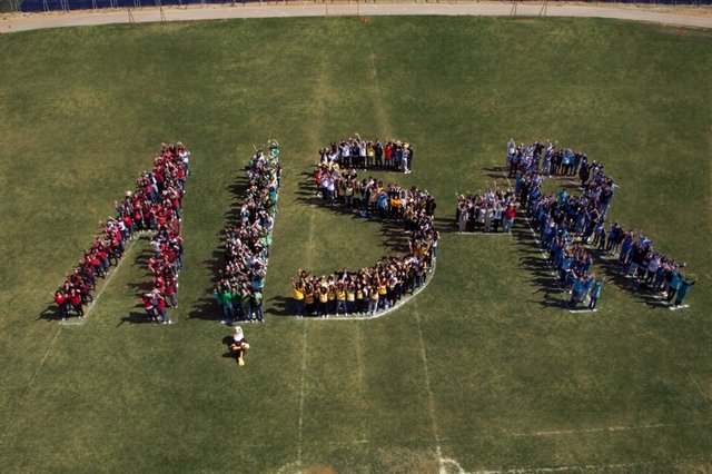 My First Year at AISR