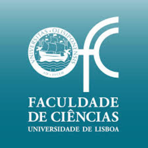 Técnico de Comunicação e Eventos