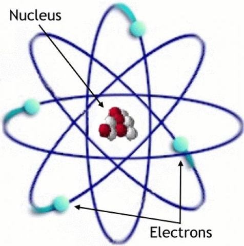 The Nuclear Model