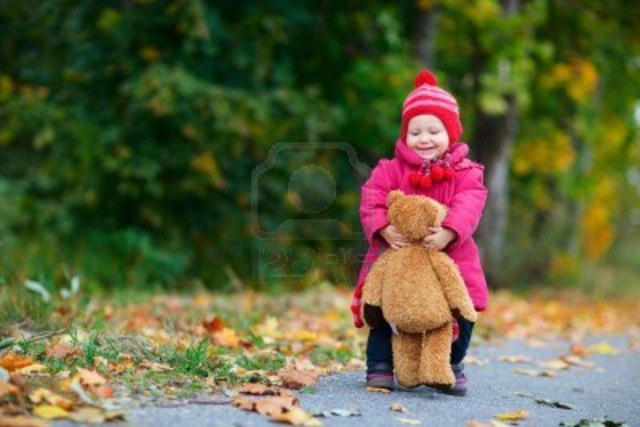 Doce meses / Un año