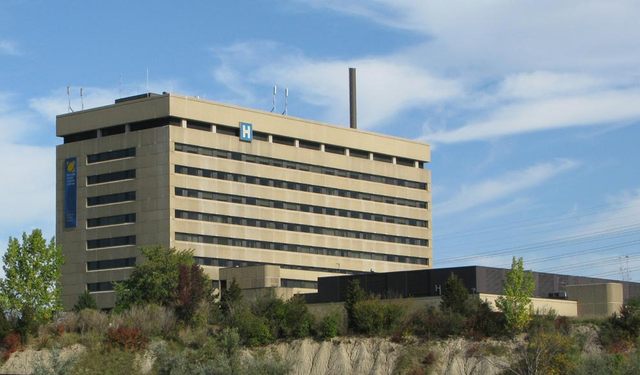 Grandmother finds work