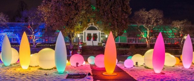 Winter Light and Flower Show @ Phipps Conservatory