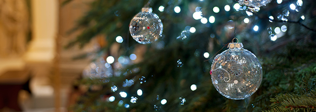 Carnegie Trees 2013: Embracing the Art of Play @ Carnegie Museum of Art