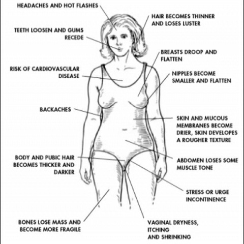 Adulthood: Biosocial: Menopause