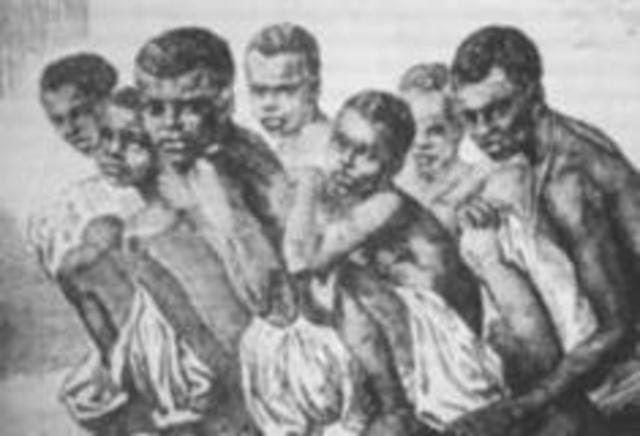 organizacion de las guerrilas mulatas de patia