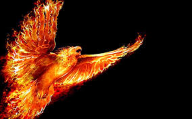 The Phoenix