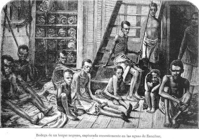 liberacion de vientres