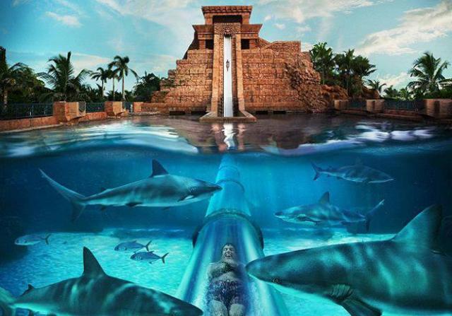 Vacation to the Atlantis