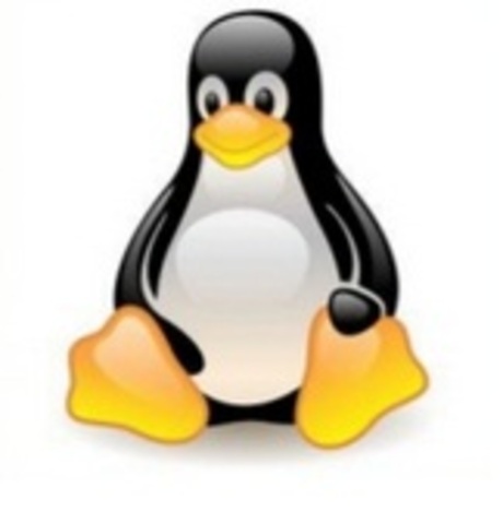 HISTORIA DEL INTERNET