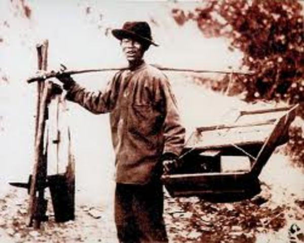 Chinese immigration and Gold Rush