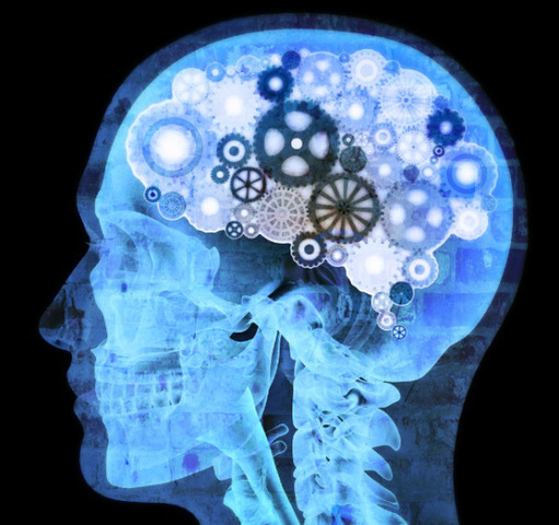 Intellectual Encounter