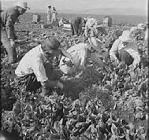 Japanese Americans interned in isolated camps