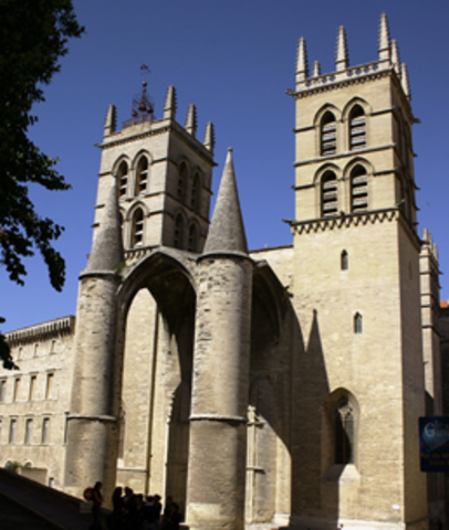 La fac de Montpellier obtient le droit de dissequer des cadavres