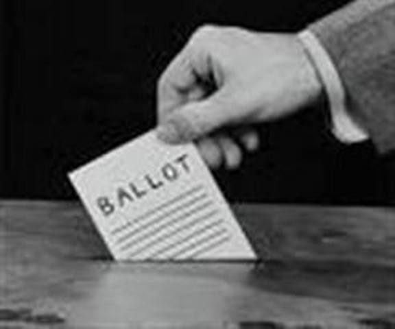 All white male citizens can vote