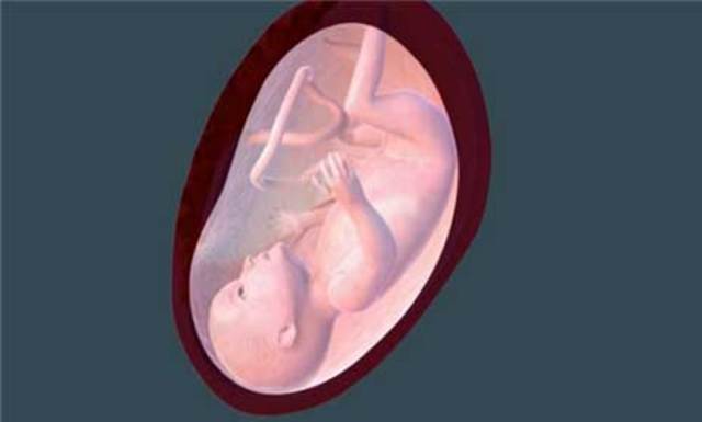 When does the baby turn upside down?