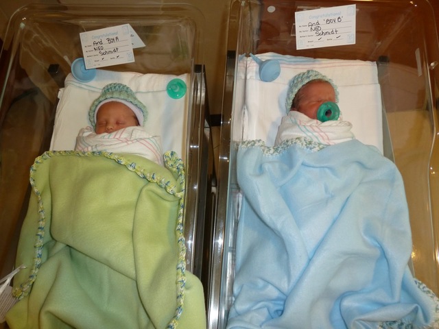 How do you give birth to identical twins?