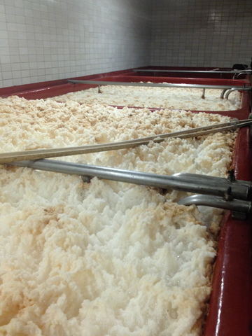 Field trip to Klaster Brewery and Skoda Factory