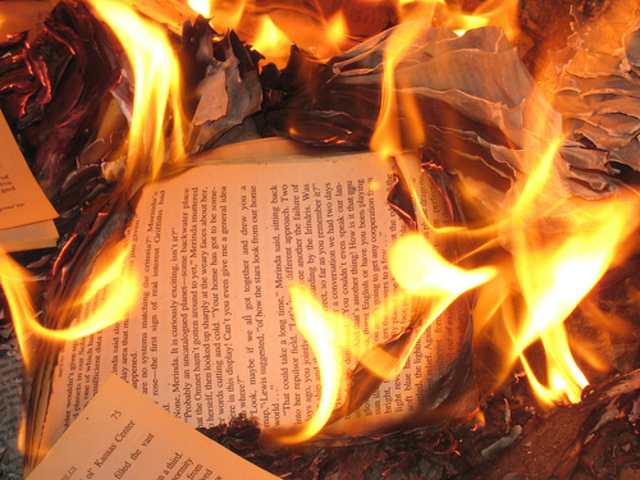 woman, fire, and a book