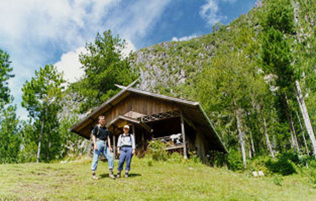 where i will be staying