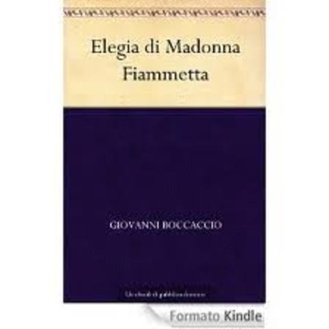 Composition of the Elegia di Madonna Fiammetta