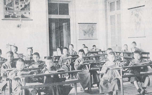 Instrução primária