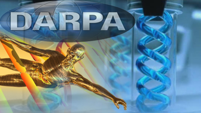 Historia del internet 1975