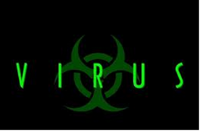 Primer Virus Informatico