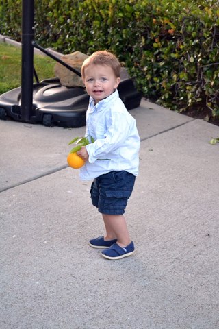 22-24 months cognitive