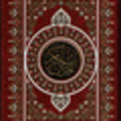 Muhammad Takes his Message Public