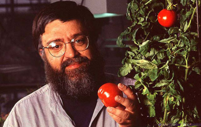 Genetic Modified Food