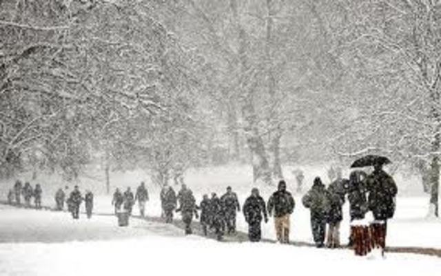 Let Go Walk In The Snow!