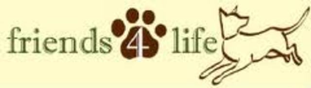 Volunteer Work Completed