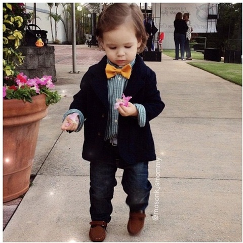 30-36 months Cognitive