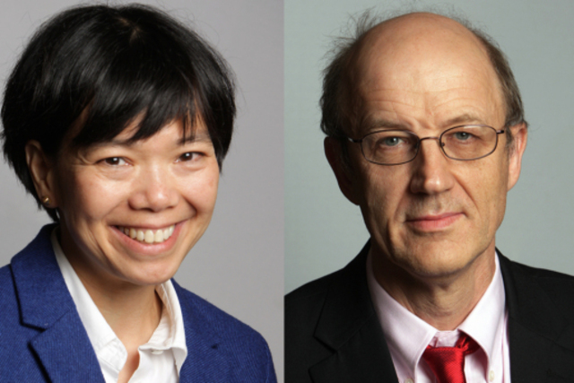 Jewitt's and Luu's Discovery