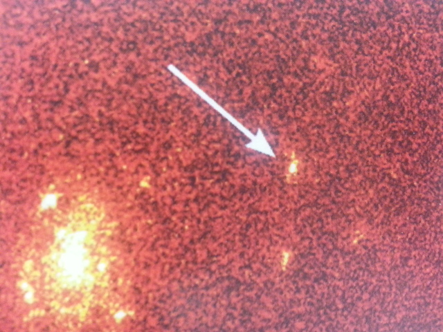 Error Box of Gamma-Ray Burst