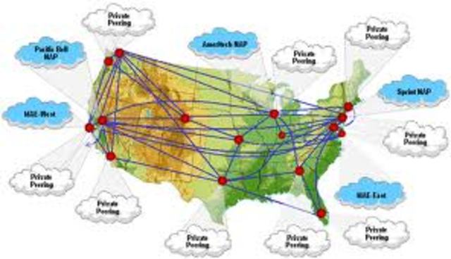 Network Access Point o NAP