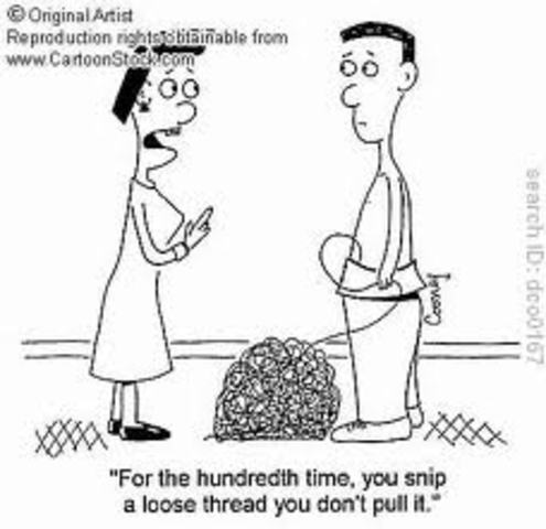 Adulthood: Cognitive Intelligence