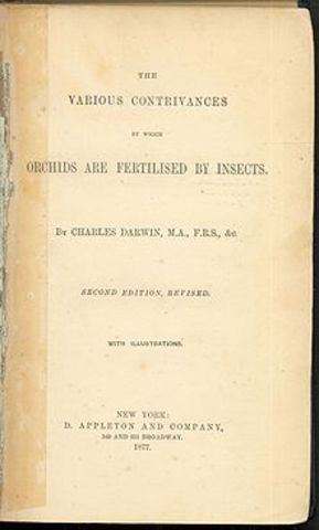 Fertilisation of Orchids; Botany