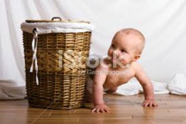 Cognitive Development 23 months